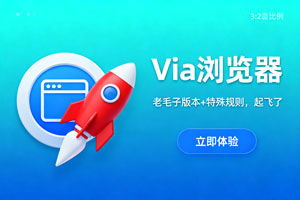 Via浏览器，老毛子版本+特殊规则，起飞了