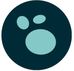 2025 年重磅笔记神器！开启免费高效知识管理之路