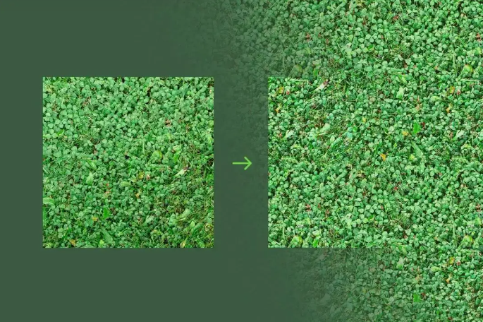 1734505214213909.png image.png